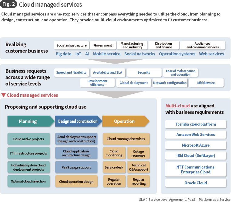 Fig. 2 Cloud managed services