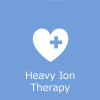Heavy Ion Therapy
