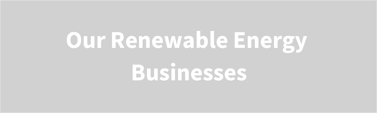 Our Renewable Energy Businesses