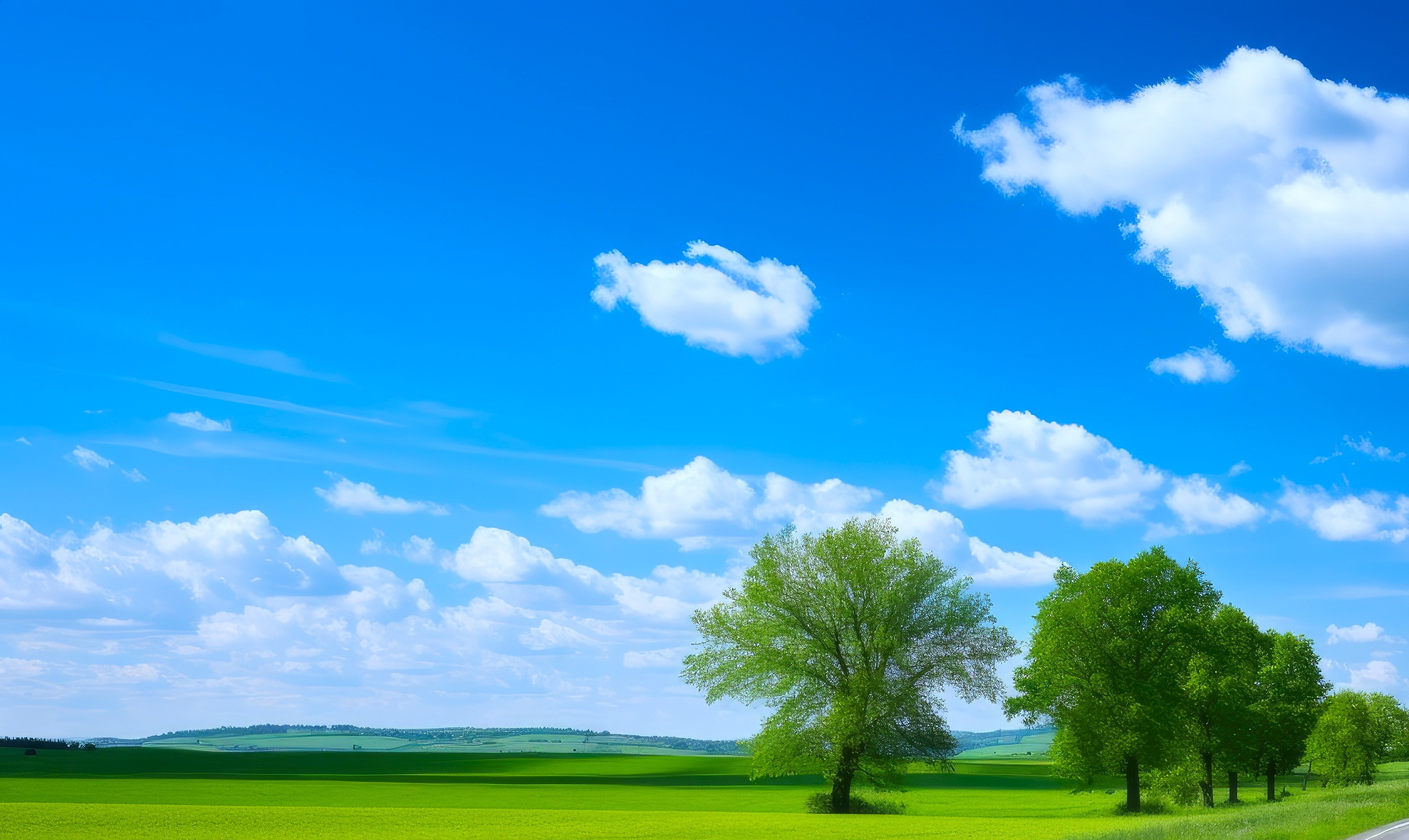 a straight country road amidst green farmland natural scenery, emphasizing a composition in a minimalist and modern style