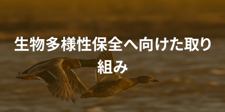 生物多様性保全へ向けた取り組み