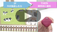 ［牧場で］家畜の管理 動画