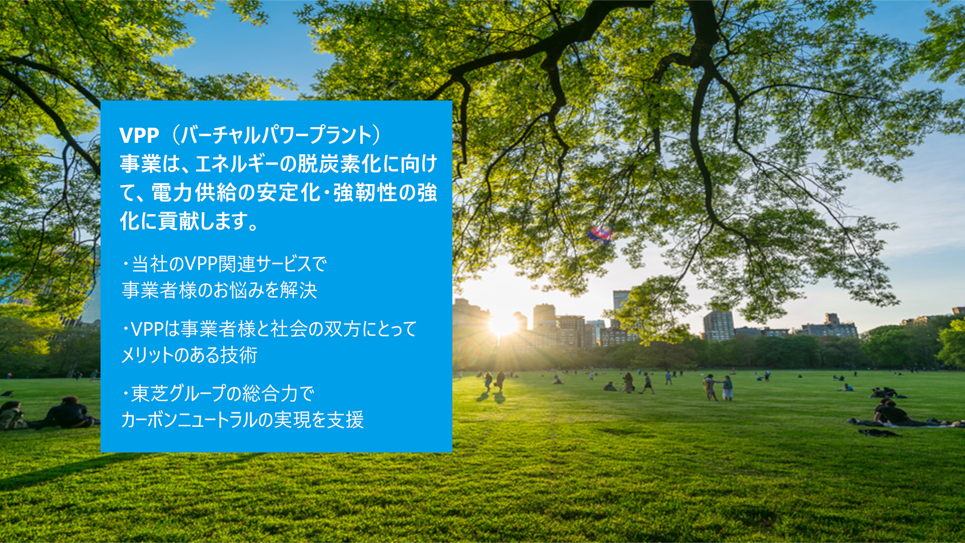 VPP（バーチャルパワープラント）事業は、エネルギーの脱炭素化に向けて、電力供給の安定化・強靭性の強化に貢献します。