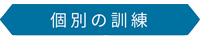 個別の訓練