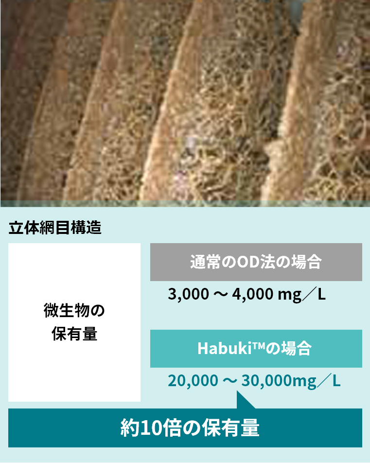 立体網目構造