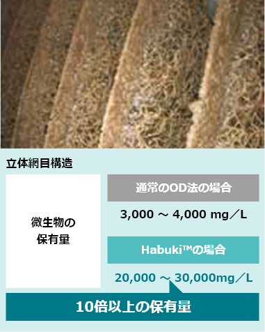立体網目構造