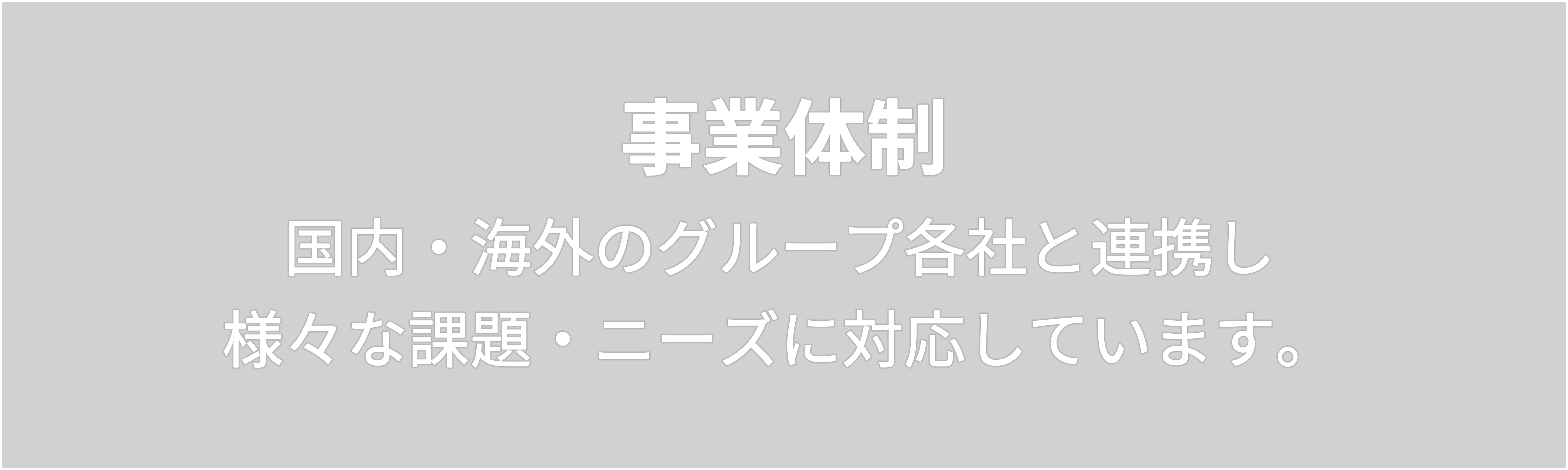 事業体制　国内・海外のグループ各社と連携し  様々な課題・ニーズに対応しています。 