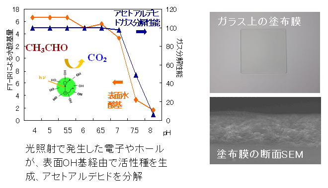 ナノ粒子表面を制御して形成した光触媒膜と特性