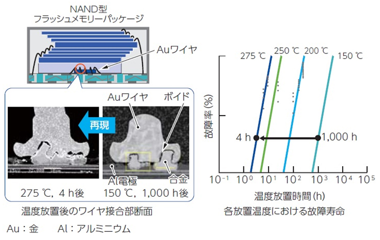 高温放置試験後のワイヤ断面と短時間加速評価における故障寿命
