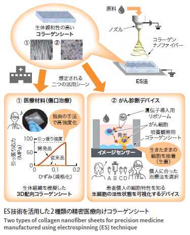 ナノファイバー技術を活用した精密医療向けコラーゲンシート