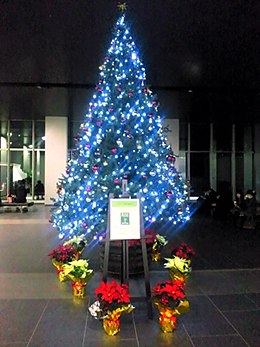 東芝本社クリスマスツリーの写真