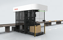 Security & Automation Systems (De-Palletizer)