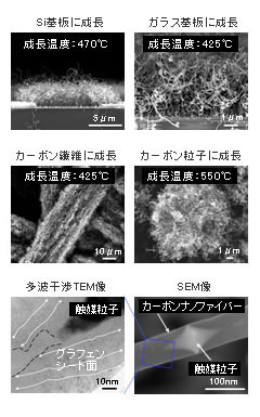 低温成長カーボンナノ材料の写真