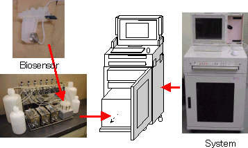 Picture of Biosensor System (Prototype)