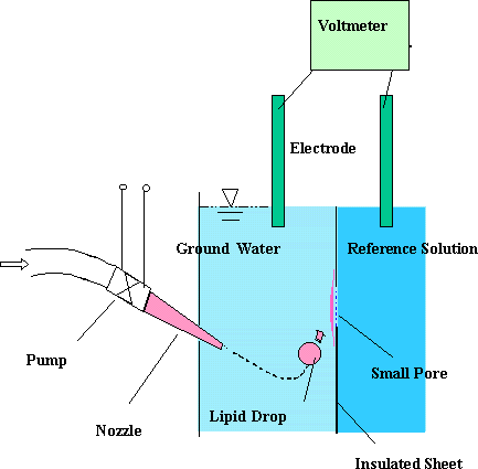 Mechanism of Biosensor