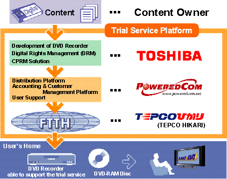 Roles of Each Company 