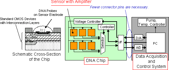 System Diagram. New Chip and Analyzer
