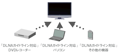 ＤＬＮＡとは