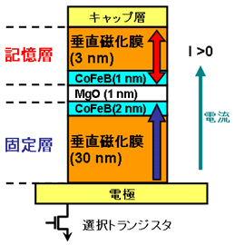 開発の概要