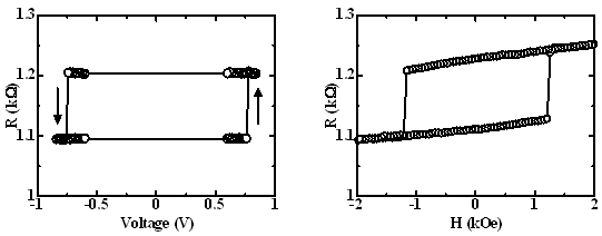 開発の概要