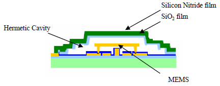 Package structure of vacuum sealing