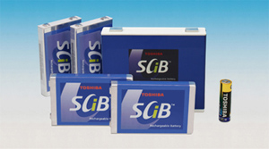 Image of SCiB cells