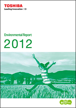 Environmental Report 2012