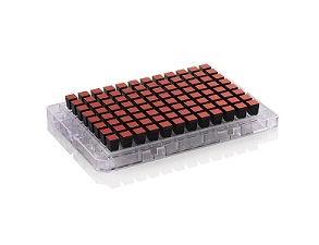 picture of new products