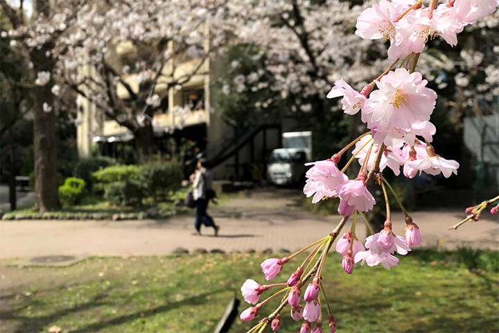 人々が夢を持てるような社会へ