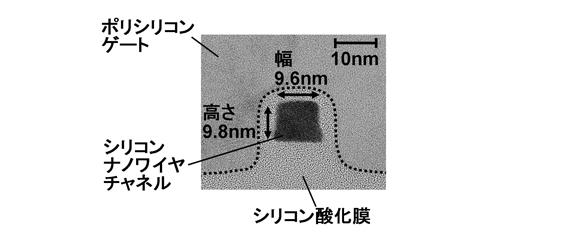 ナノワイヤの断面写真