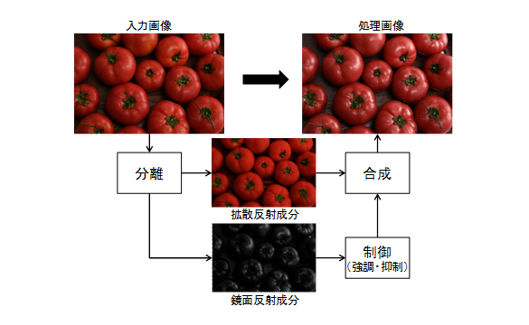 光沢制御技術の特長の説明図