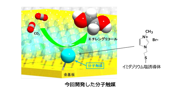 今回開発した分子触媒