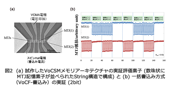 図2　(a)　試作したVoCSMメモリアーキテクチャの実証評価素子 (数珠状にMTJ記憶素子が並べられたString構造で構成) と (b) 一括書込み方式（VoCF-書込み）の実証 (2bit）