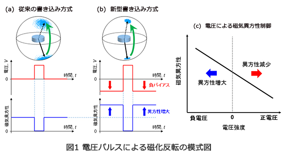 図1 電圧パルスによる磁化反転の模式図