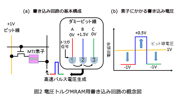 図2 電圧トルクMRAM用書き込み回路の概念図