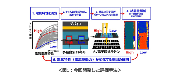 図1：今回開発した評価手法