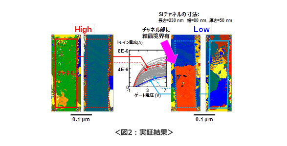 図2：実証結果