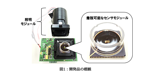 図1：開発品の概観