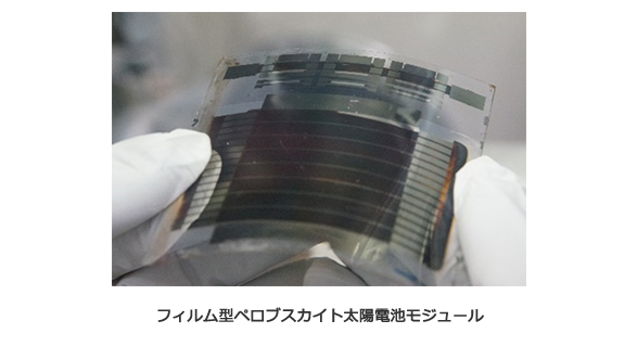 フィルム型ペロブスカイト太陽電池モジュール