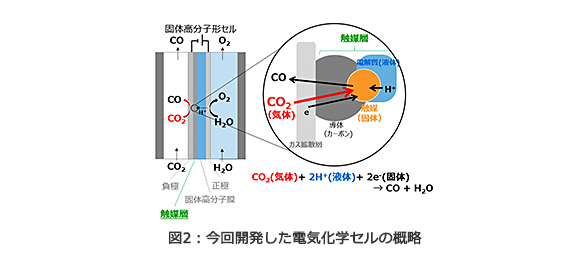 図2：今回開発した電気化学セルの概略