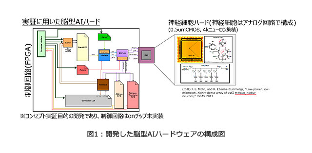 図1：開発した脳型AIハードウェアの構成図