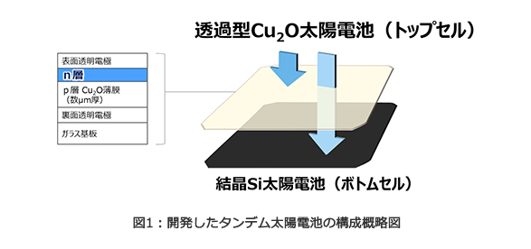 図1：開発したタンデム太陽電池の構成概略図