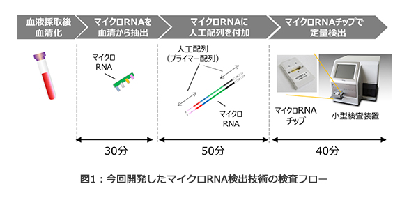 図1：今回開発したマイクロRNA検出技術の検査フロー