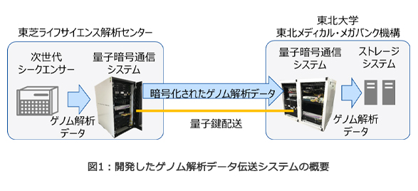 図1：開発したゲノム解析データ伝送システムの概要