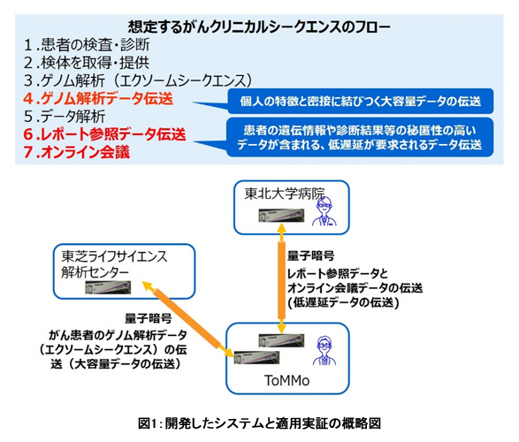 図1：開発したシステムと適用実証の概略図