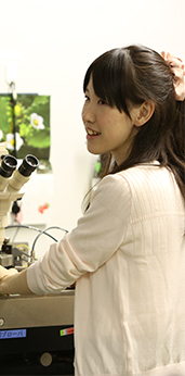 新留 彩の写真