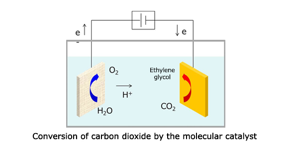 Conversion of carbon dioxide by the molecular catalyst