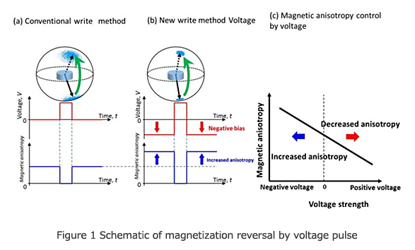 Figure 1 Schematic of magnetization reversal by voltage pulse