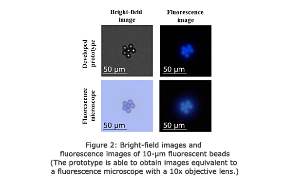 Figure 2: Bright-field images and fluorescence images of 10-μm fluorescent beads (The prototype is able to obtain images equivalent to a fluorescence microscope with a 10x objective lens.)
