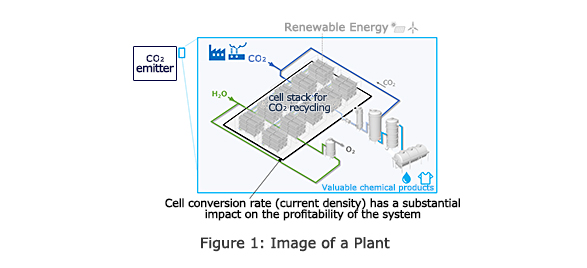 Figure 1: Image of a Plant